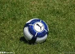 青岛足球,立足保级根,追求创新灵,开云体育平台,开云体育官方网站,开云体育登录入口,开云体育app下载