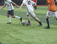 国内,市场,日稳中微调,开云体育平台,开云体育官方网站,开云体育登录入口,开云体育app下载