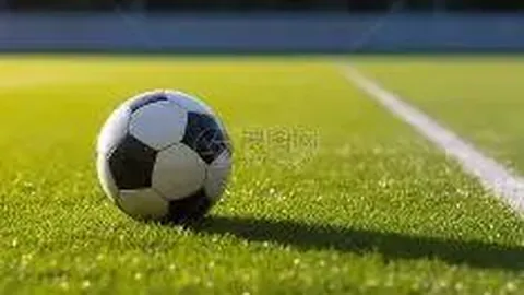 开云体育 产品 094018 dnp