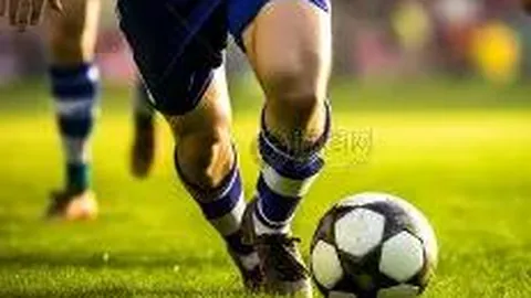 开云体育 资讯 111723 0cf