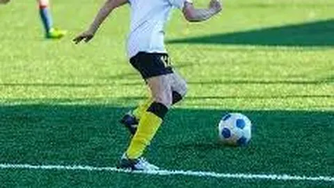 明星野外挑战记：娱乐明星的穿越生存连载